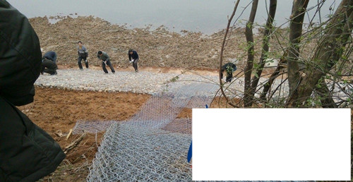 高爾凡雷諾護(hù)墊